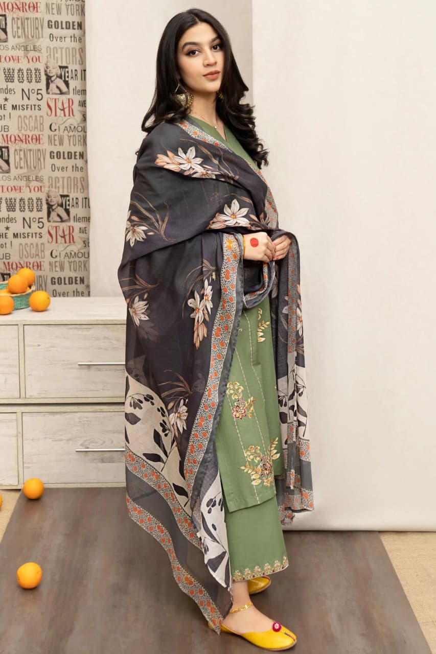WINTER COLLECTION DHANAK EMBROIDERY 3PC